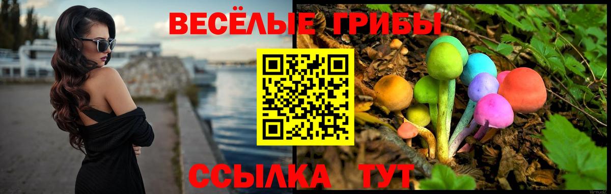 Галлюциногенные грибы Psilocybe  Вход с VPN  Псилоцибиновые грибы Magic Shrooms  Чебаркуль 